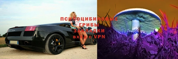 дмт Ветлуга