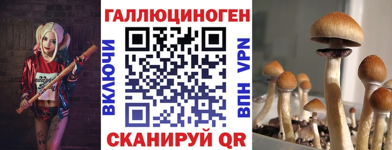 мориарти какой сайт  Бакал  Галлюциногенные грибы мицелий 