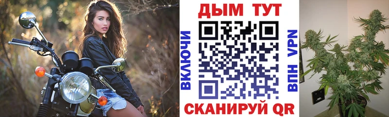 где найти наркотики  Бакал  Марихуана конопля 